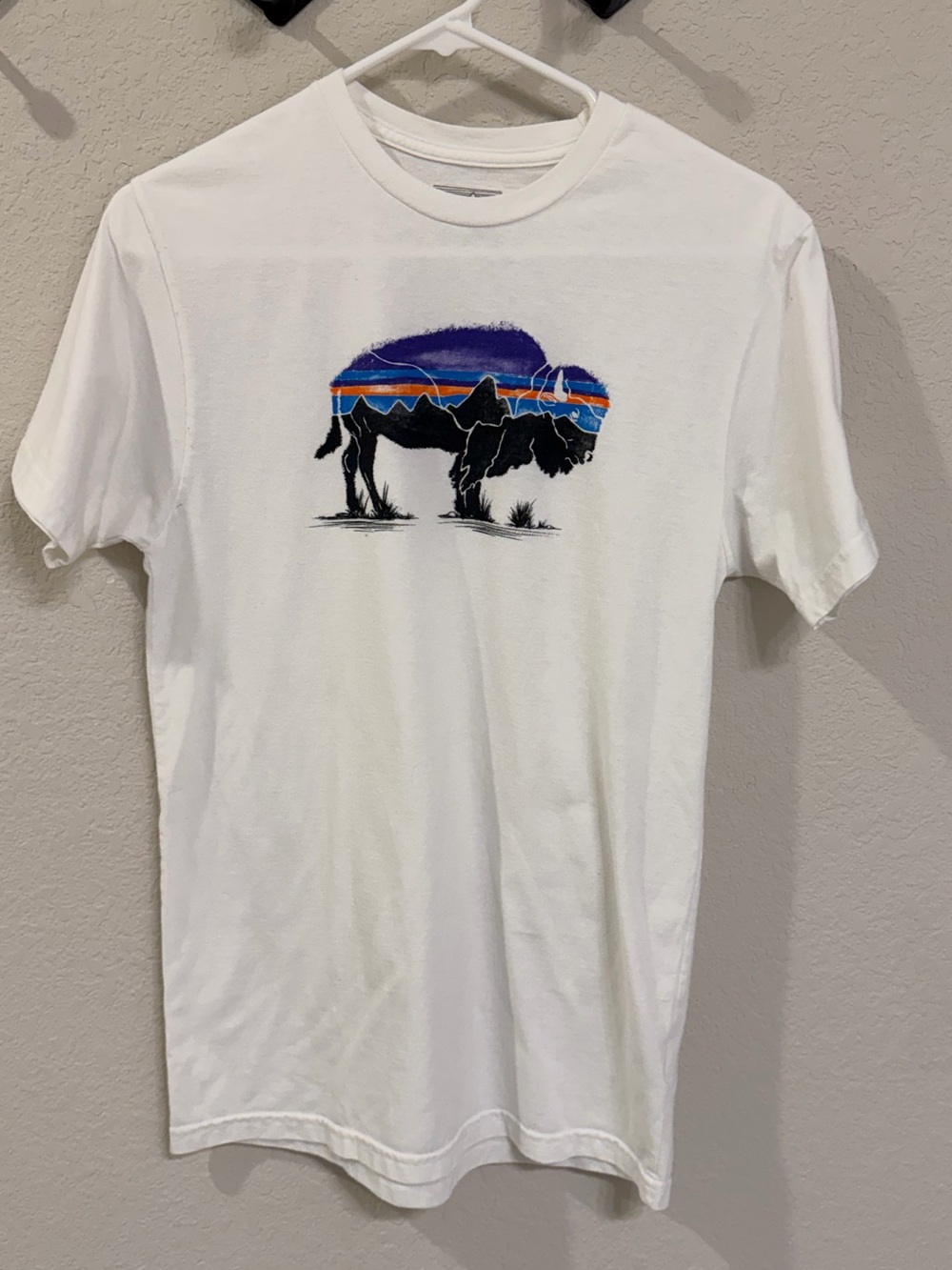 Patagonia Fitz Roy Bison Slim Fit Short Sleeve Tee, Size Small Gender Neutral